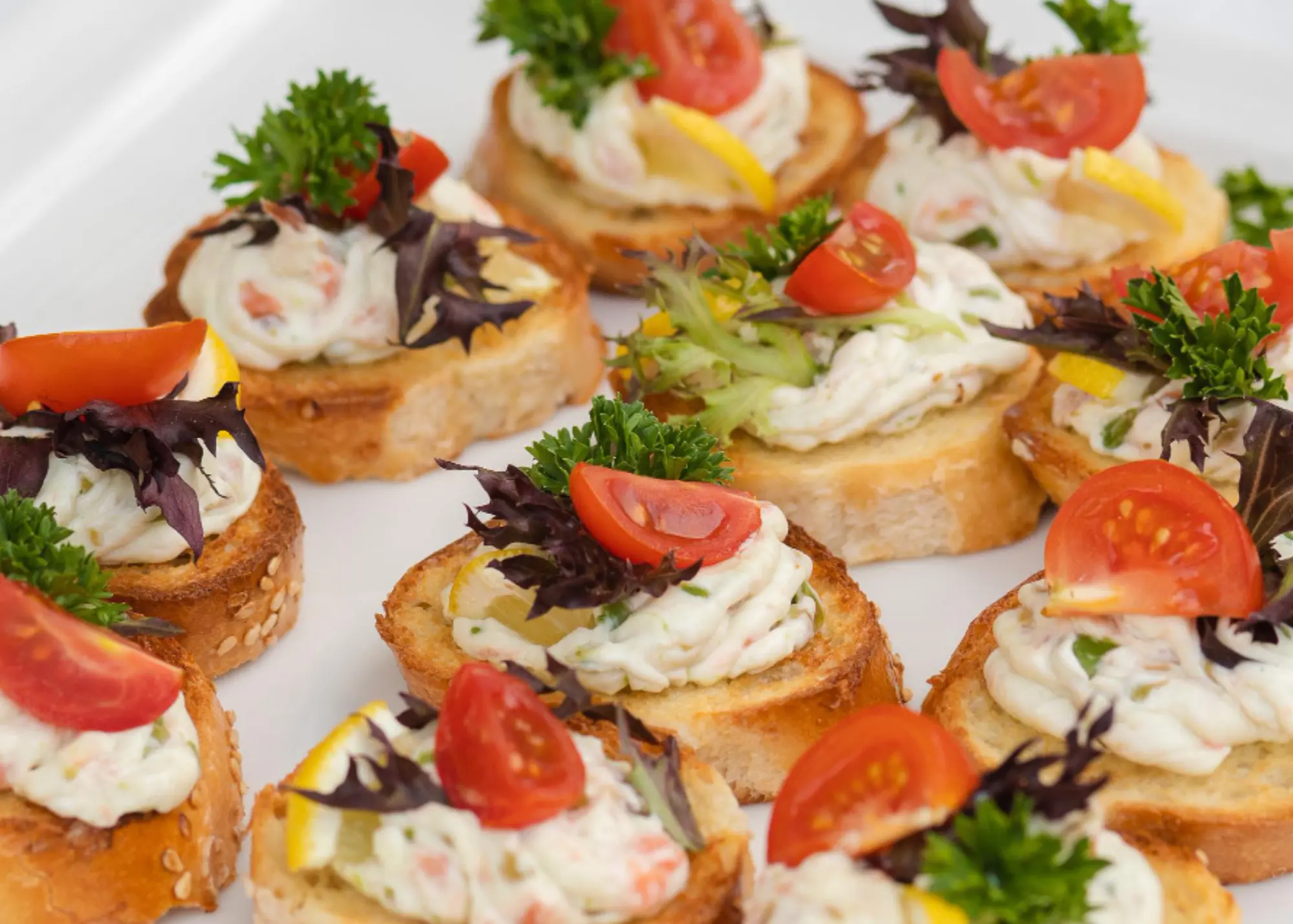 Appetizer