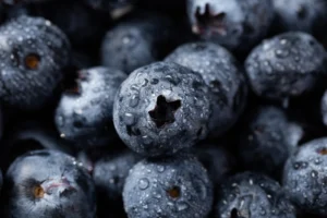 store fresh blueberries