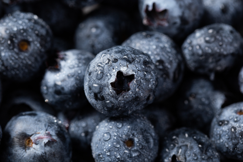 store fresh blueberries